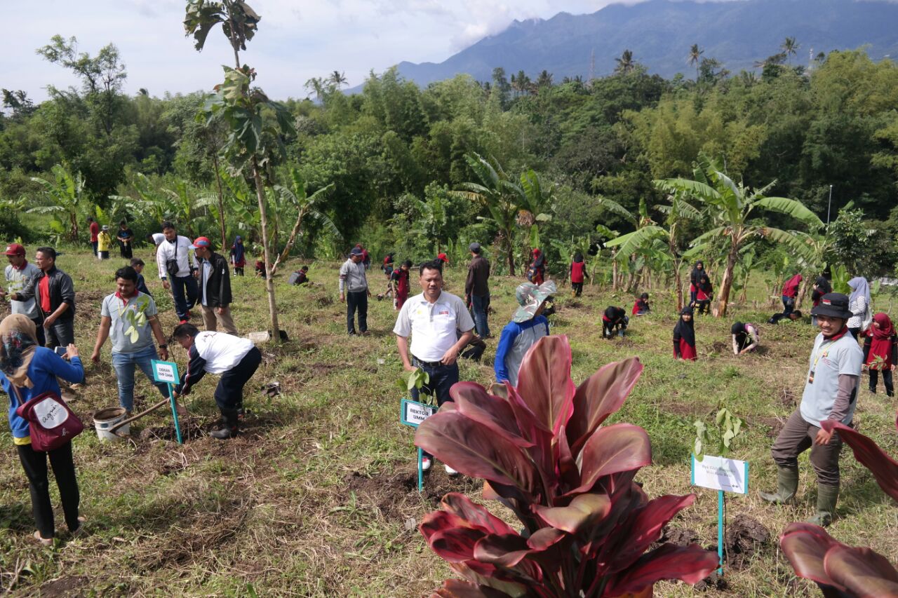 Aksi tanam pohon BEM FPP bersama masyarakat. استجابت محاولة الجامعة محمدية